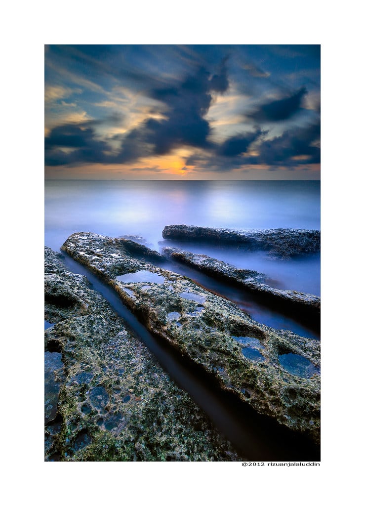 Gambar Pohon Batu Beach