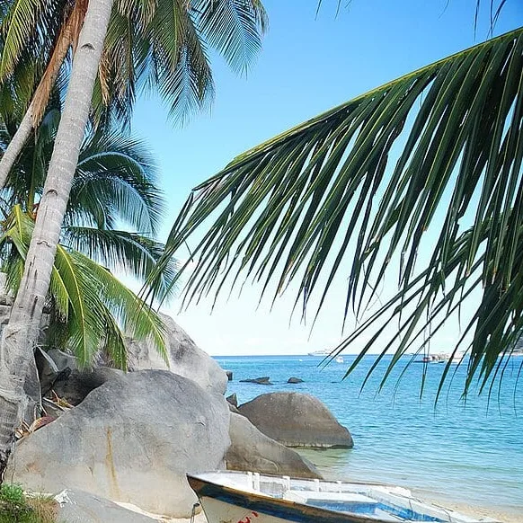 Pulau Aur, Taman Laut Sultan Iskandar — foto sebenar 4 (crop)