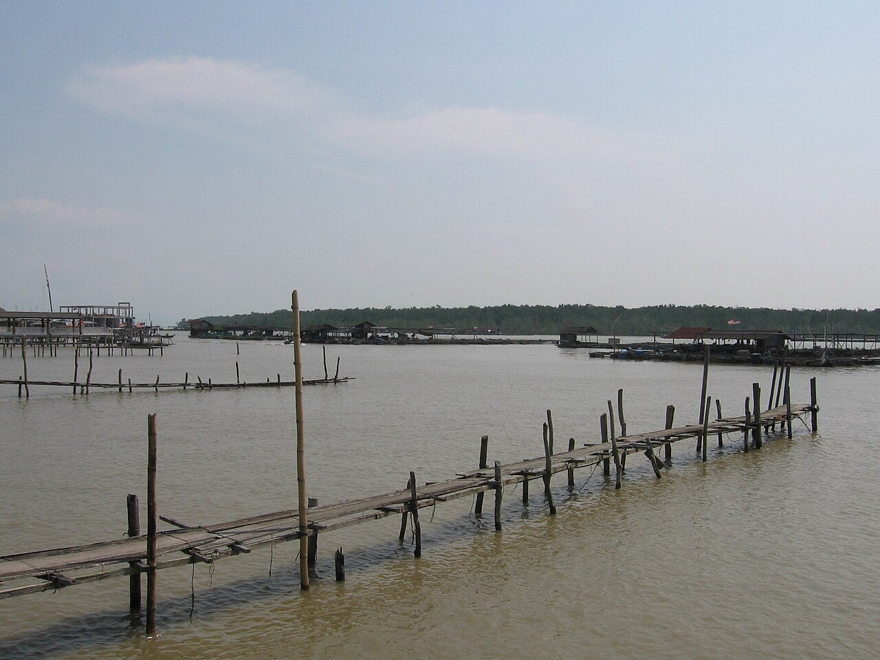Gambar Pulau Kukup National Park