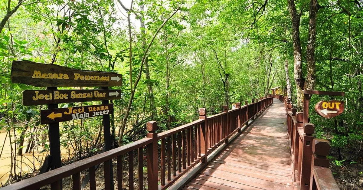 Kukup Island Johor National Park — foto sebenar 1