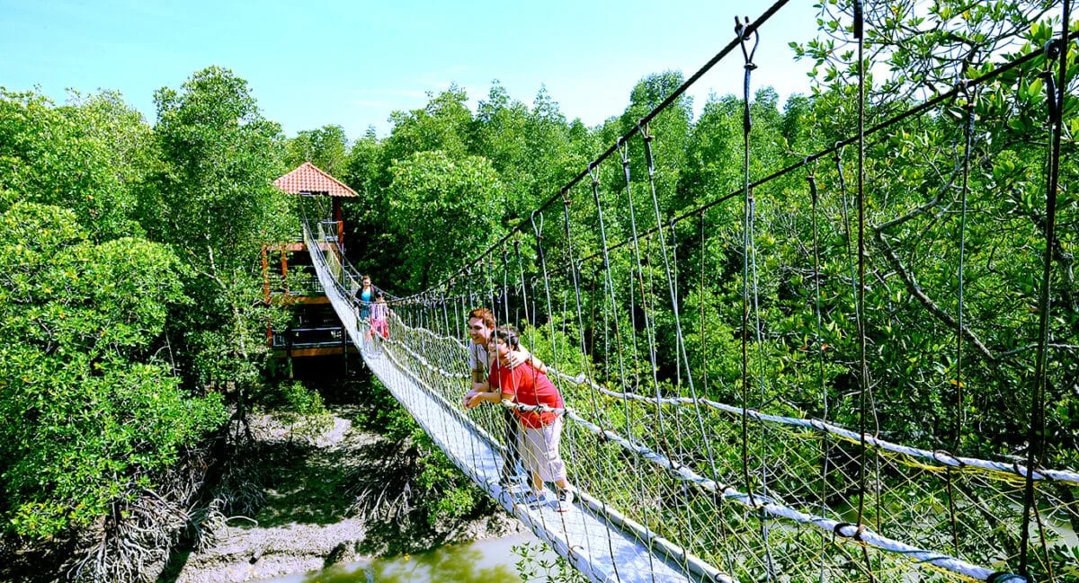 Kukup Island Johor National Park — foto sebenar 4