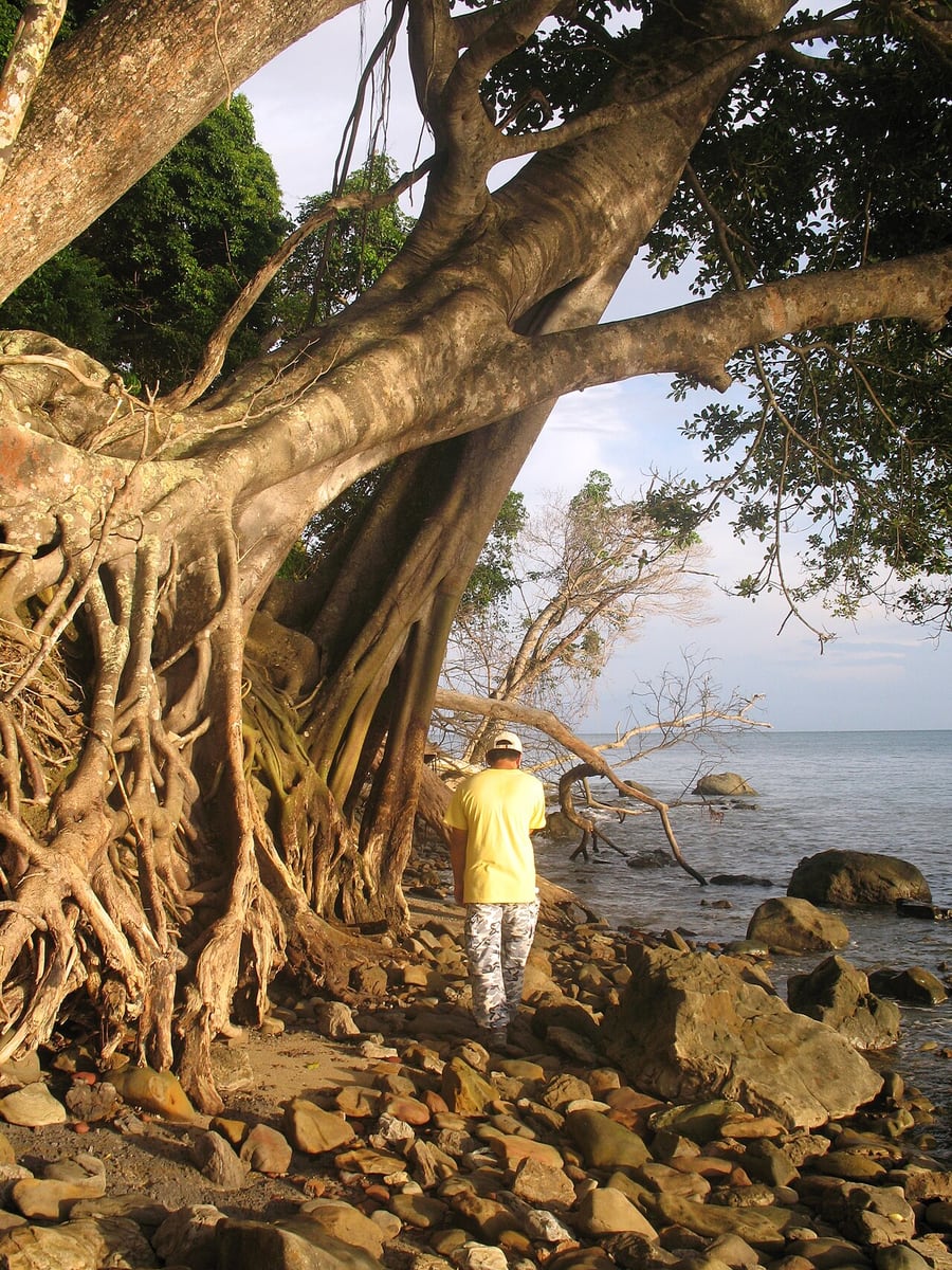 Gambar 2 Pulau Tiga Park