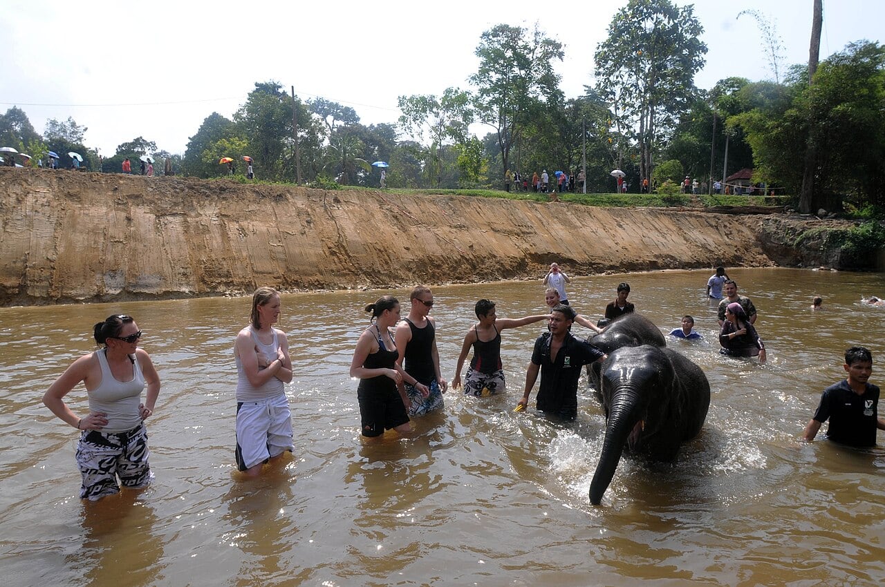 Gambar 3 Pusat Konservasi Gajah Kebangsaan Kuala Gandah
