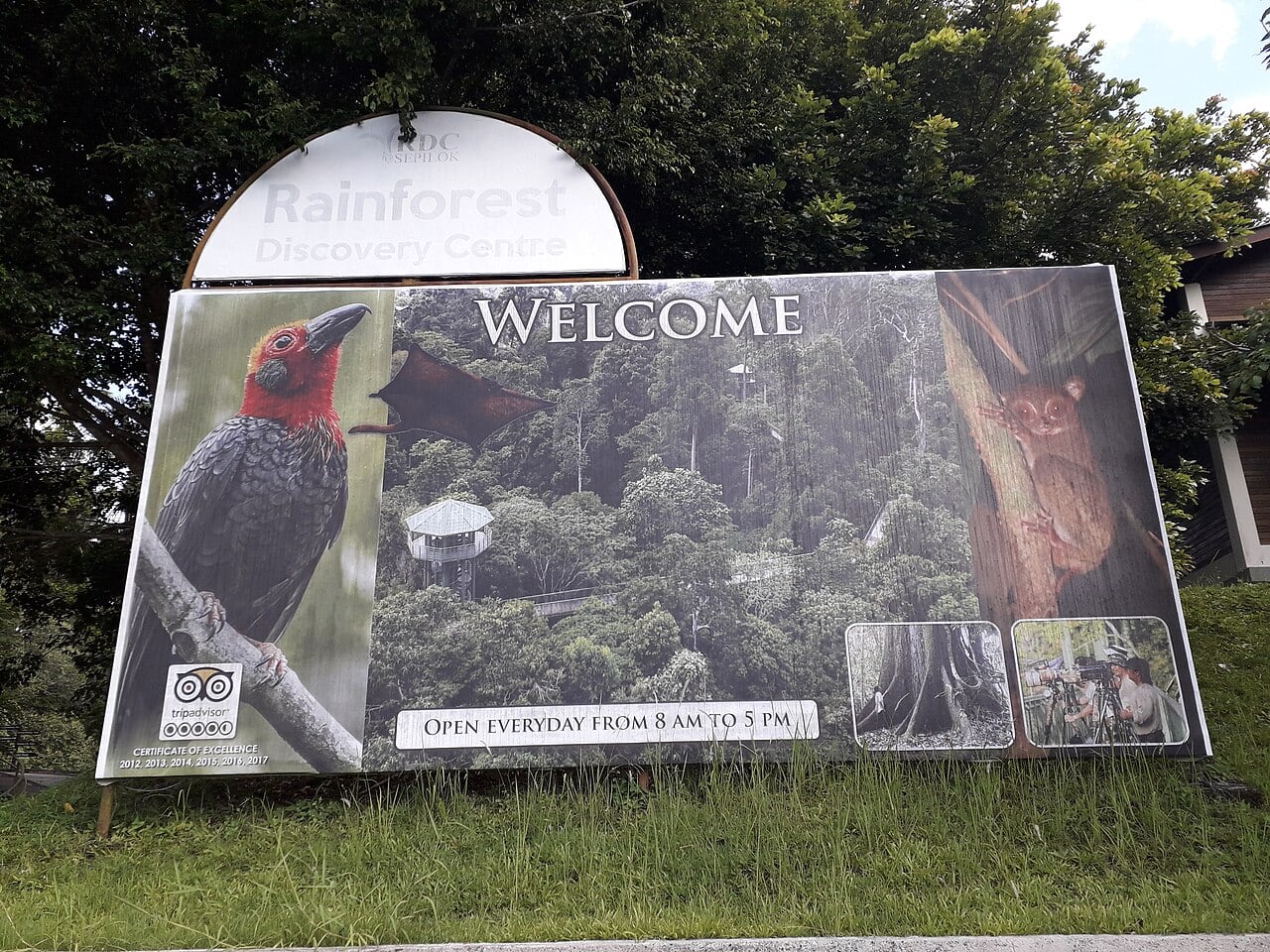 Gambar 2 Rainforest Discovery Centre Sepilok