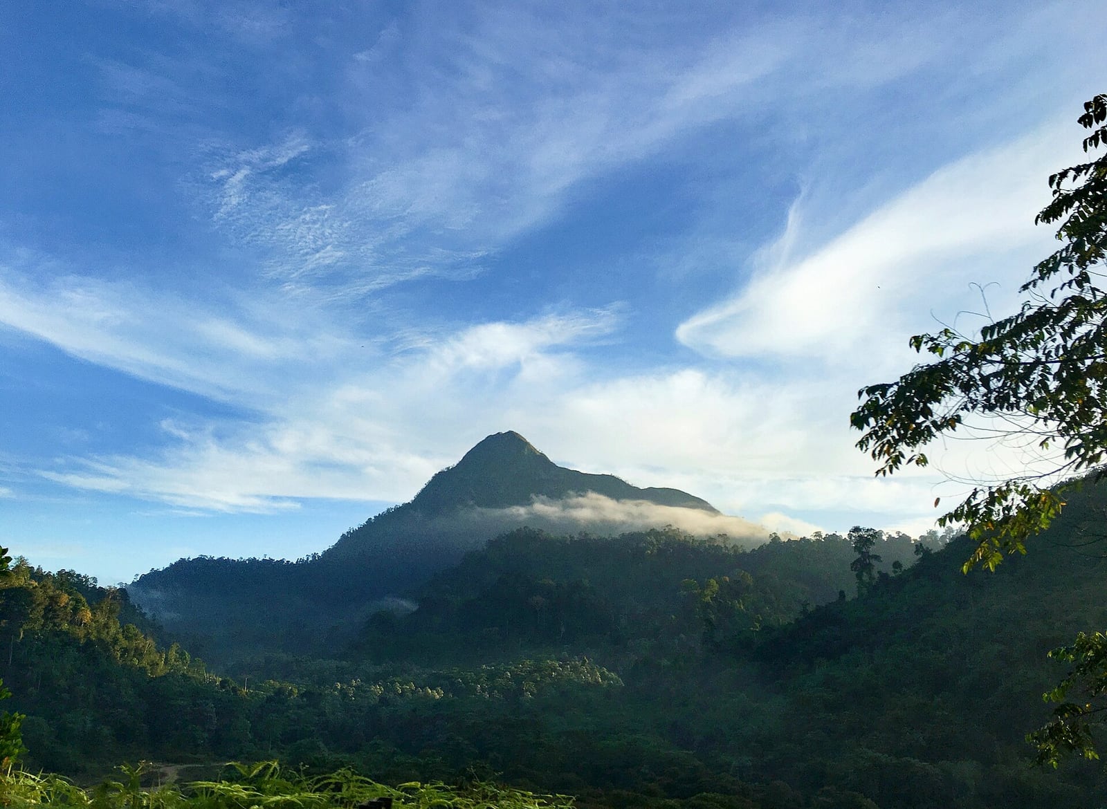 Gambar Royal Belum State Park