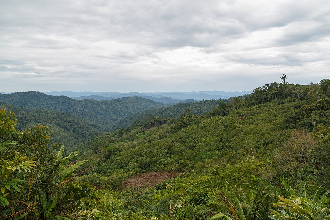 Gambar Rundum Highlands