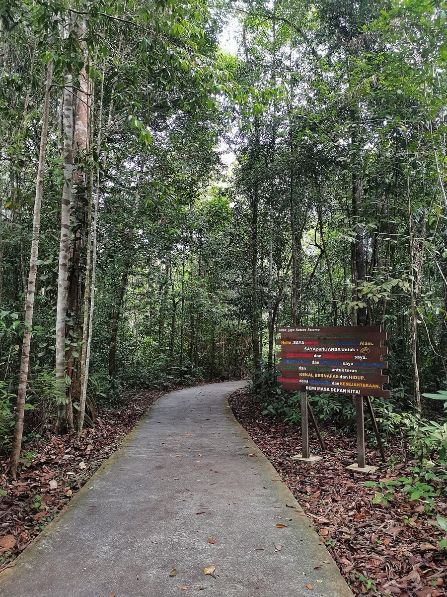 Gambar 3 Sama Jaya Nature Reserve