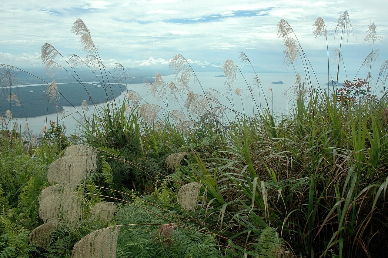 Gambar 2 Santubong National Park