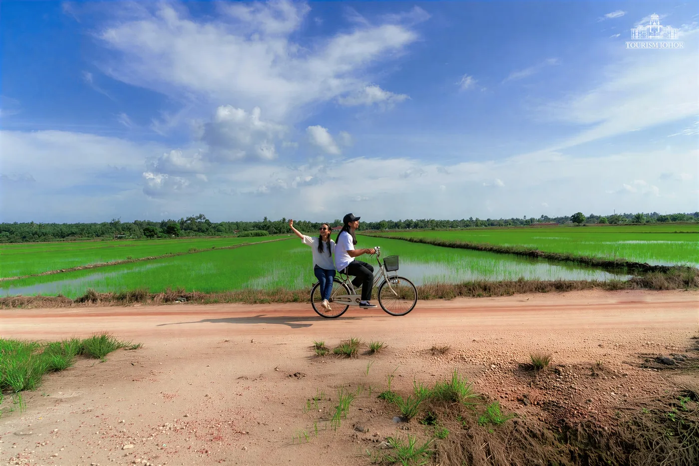 Sawah Ring — foto sebenar 2