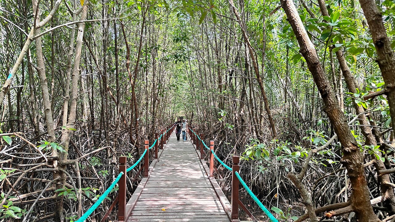 Gambar 3 Setiu Wetlands