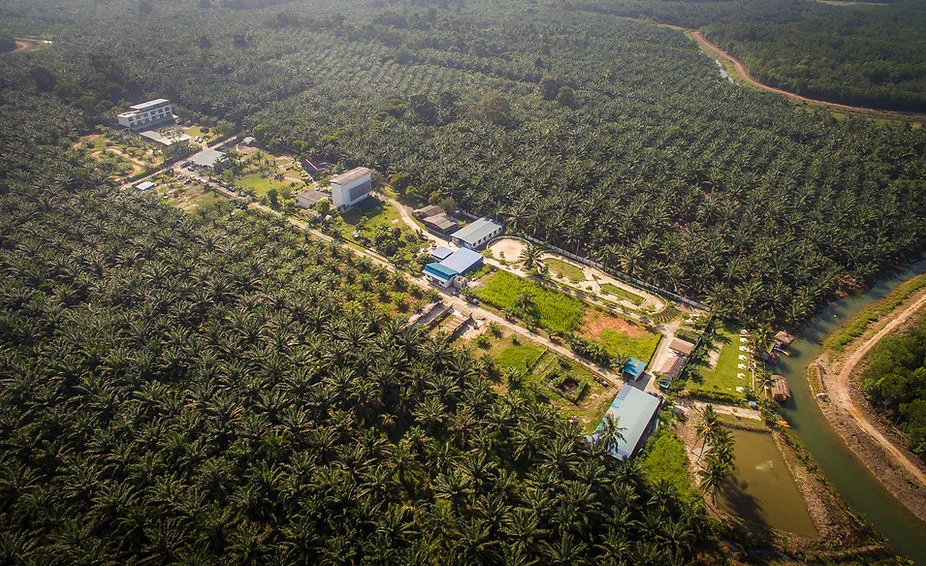 Sinar Eco Resort — foto sebenar 2