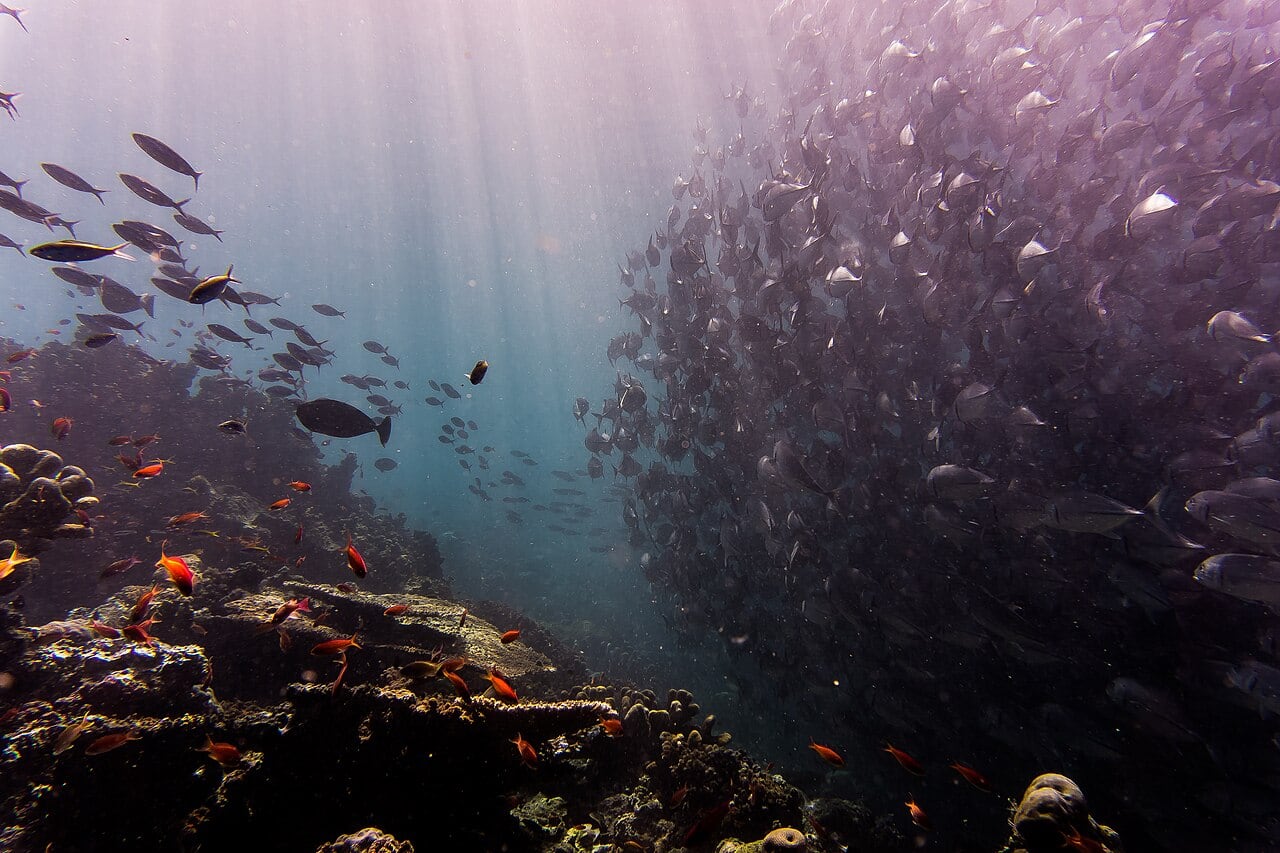 Gambar 3 Sipadan Island Park