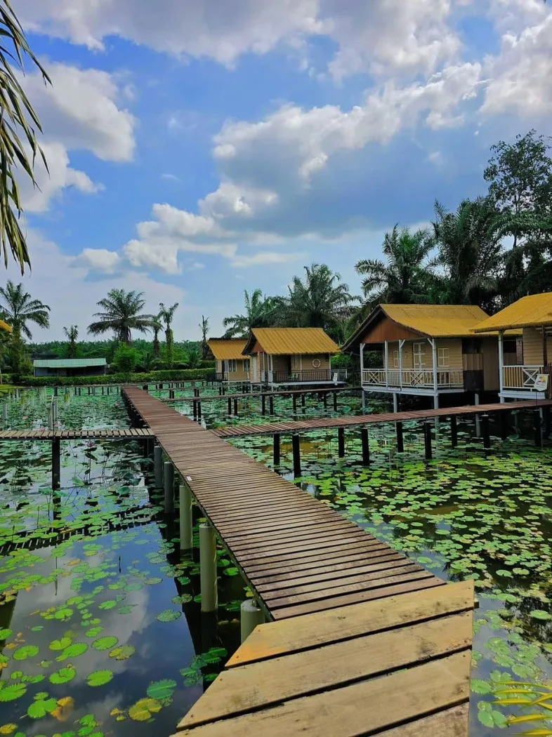 Star Fish Leisure Farm — foto sebenar 5