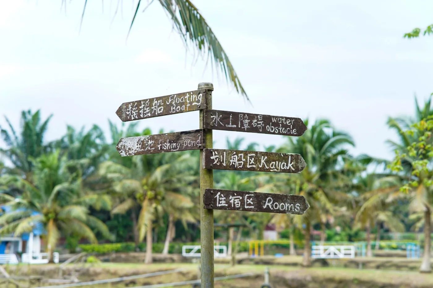 Starfish Leisure Farm — foto sebenar 4