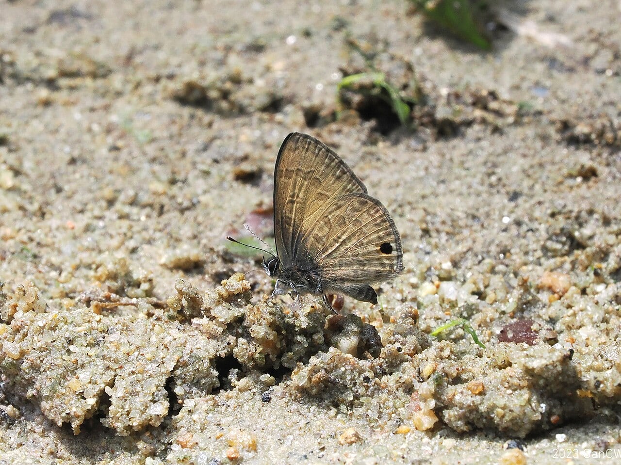 Gambar 3 Sungai Congkak Recreational Forest