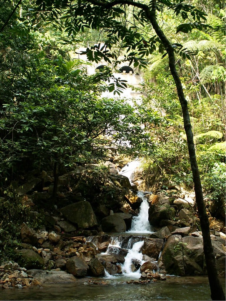 Gambar Sungai Tua Eco Forest Park