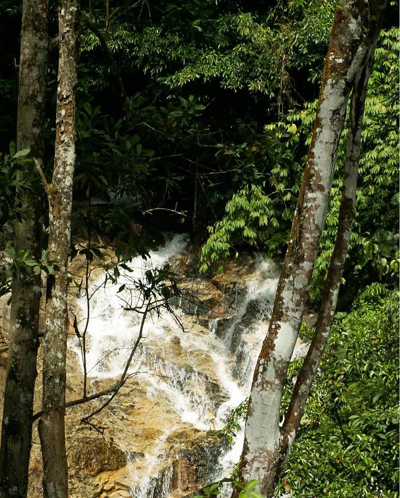 Gambar 3 Sungai Tua Eco Forest Park