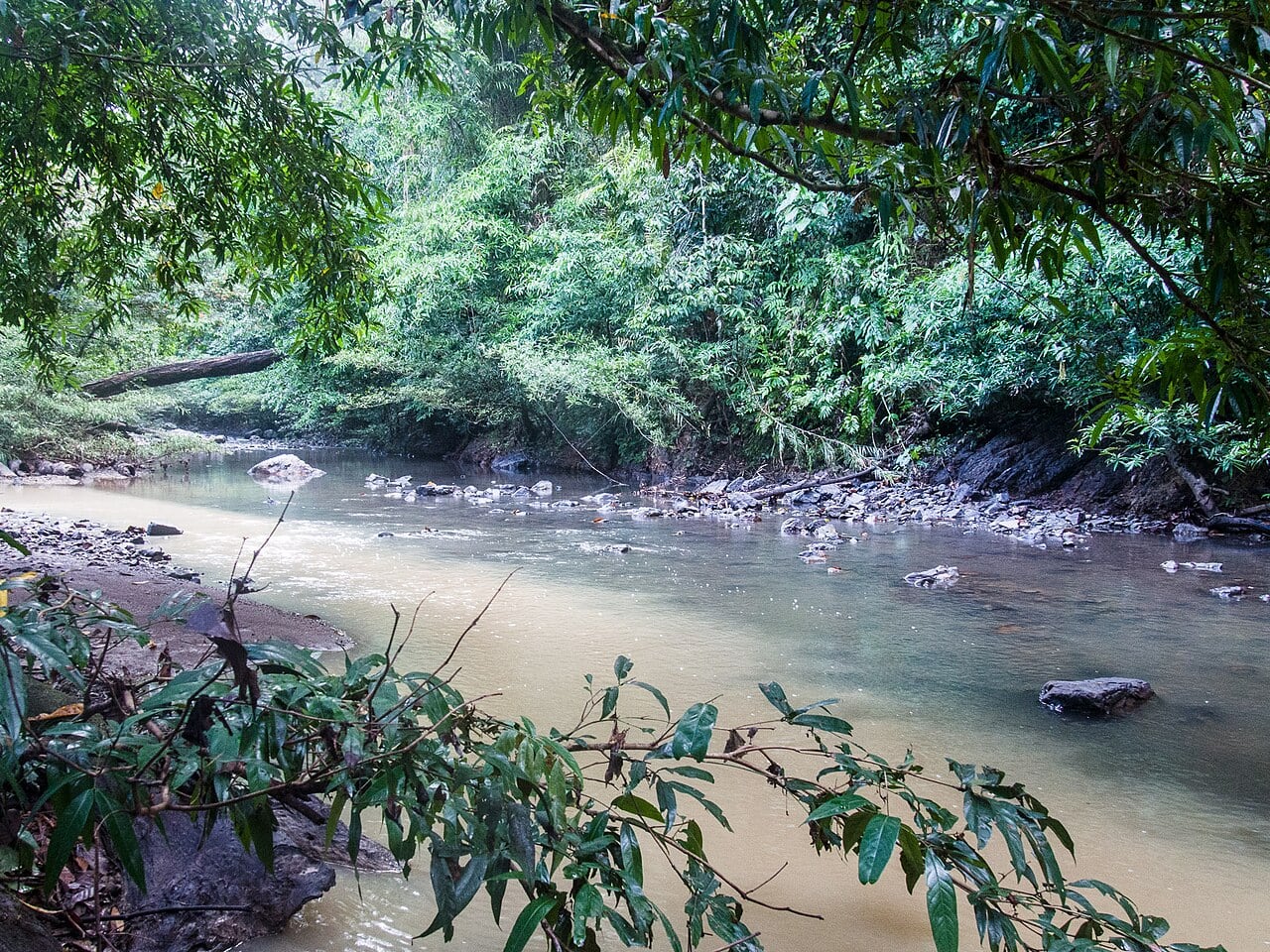 Gambar Tabin Wildlife Reserve