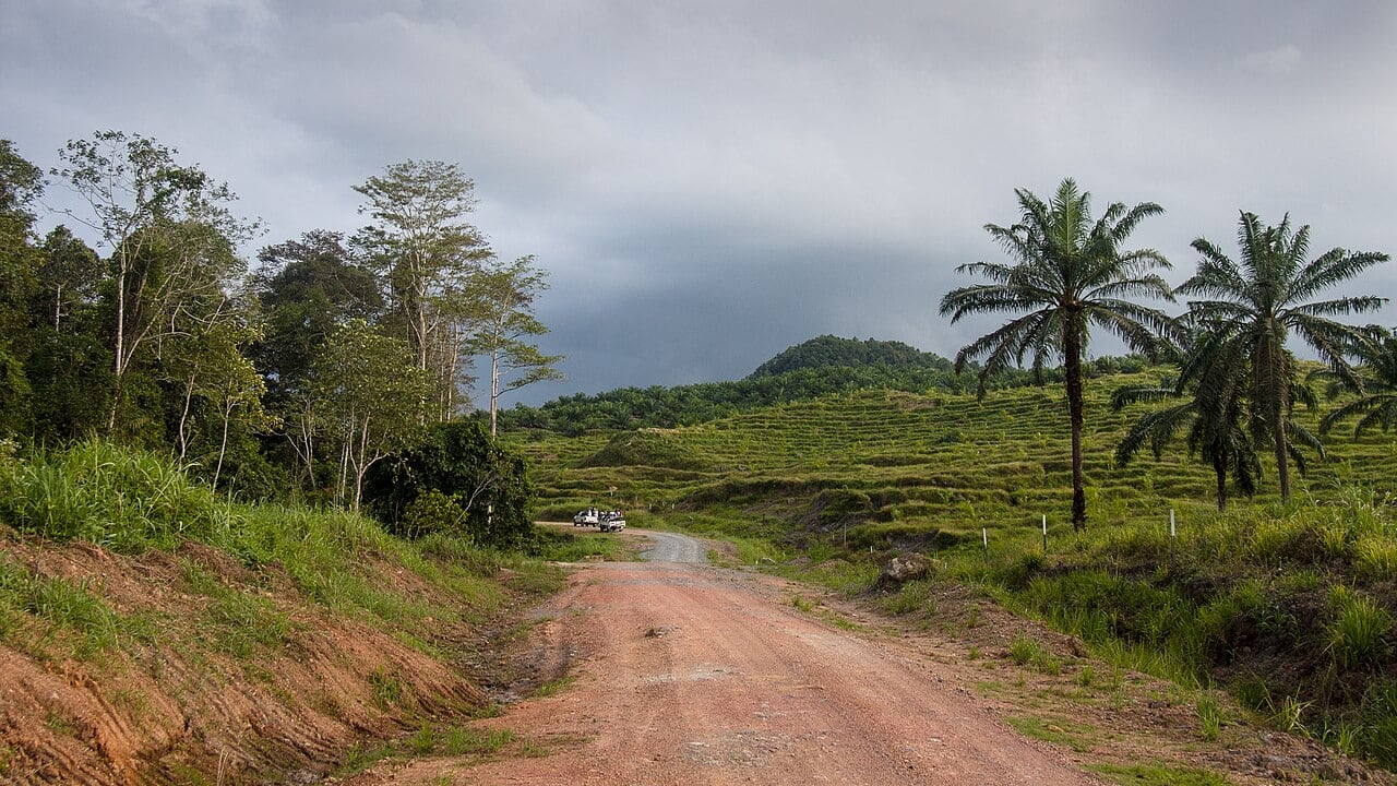 Gambar 2 Tabin Wildlife Reserve