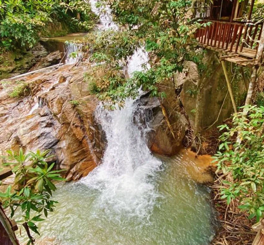 Gambar Takah Pengkoi Bekok