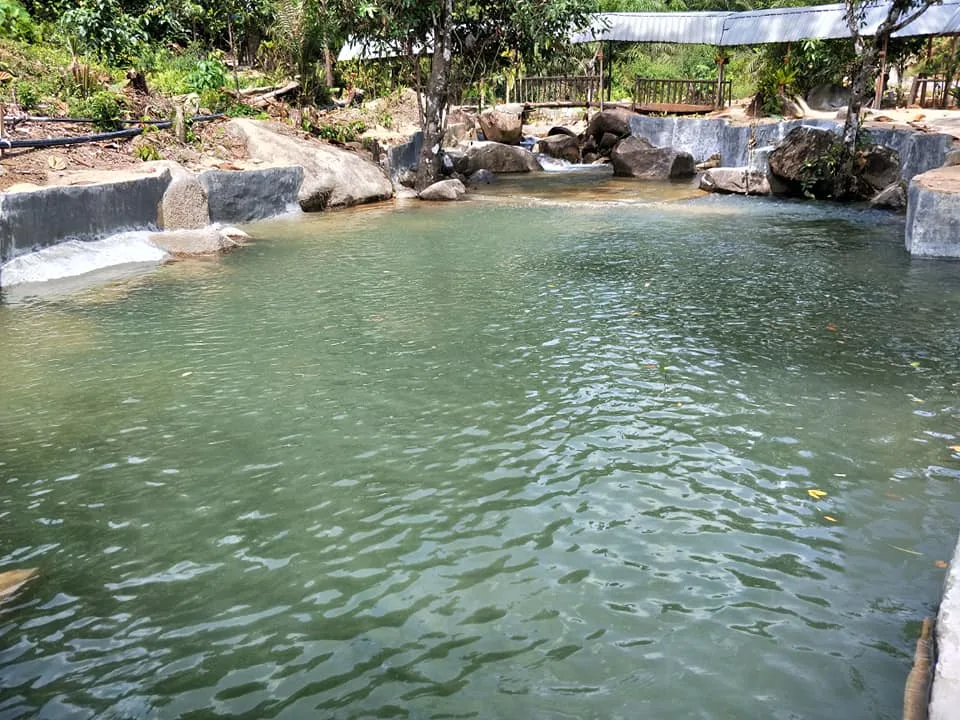 Takah Pengkoi Bekok — foto sebenar 5