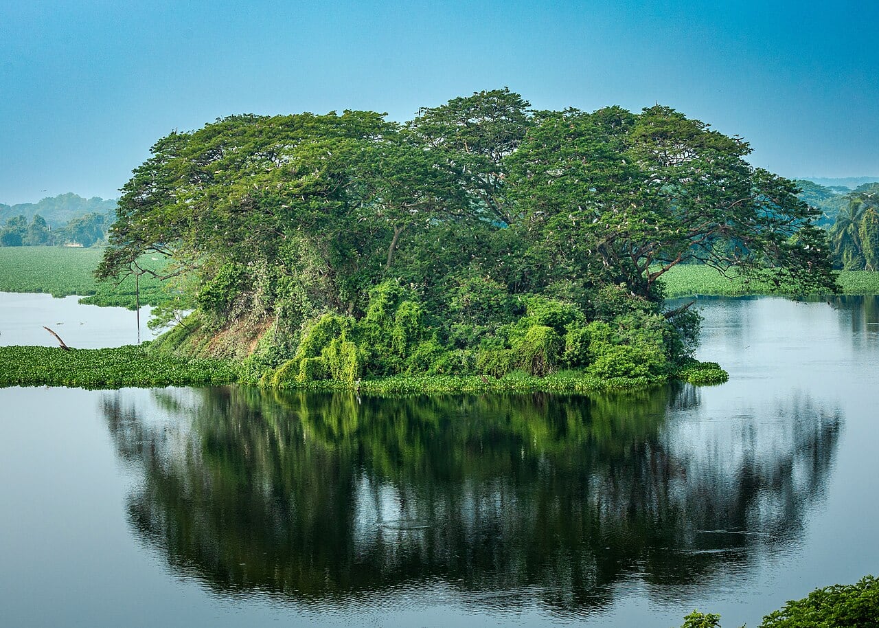 Gambar Taman Alam Kinta