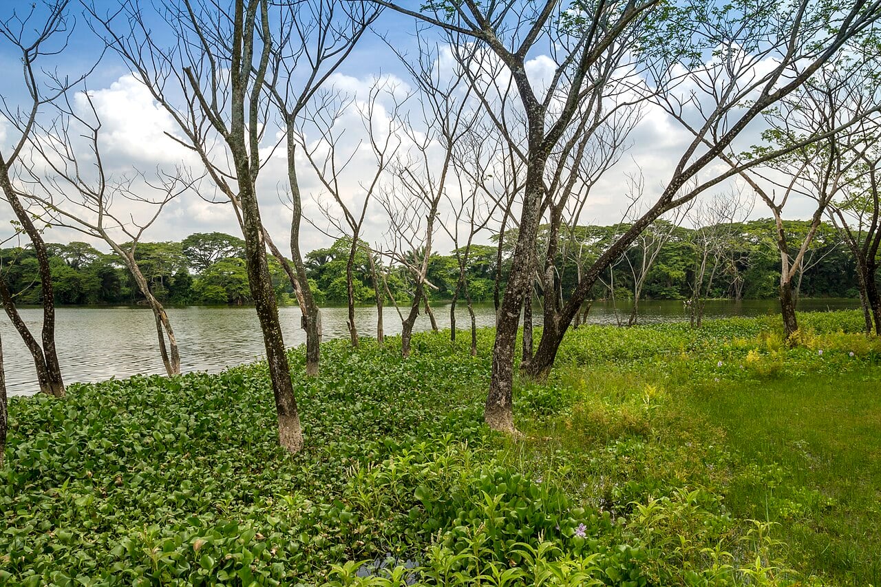 Gambar 3 Taman Alam Kinta
