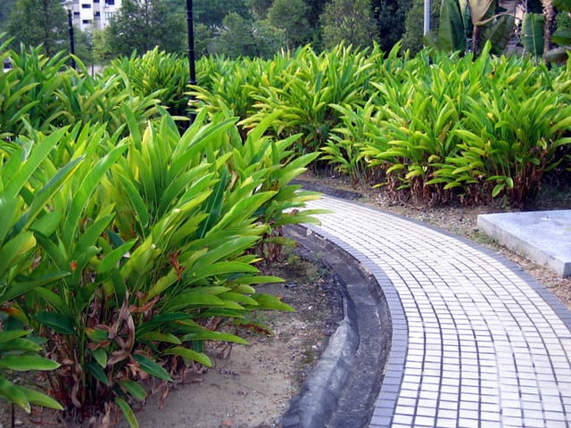 Gambar 2 Taman Bukit Jalil