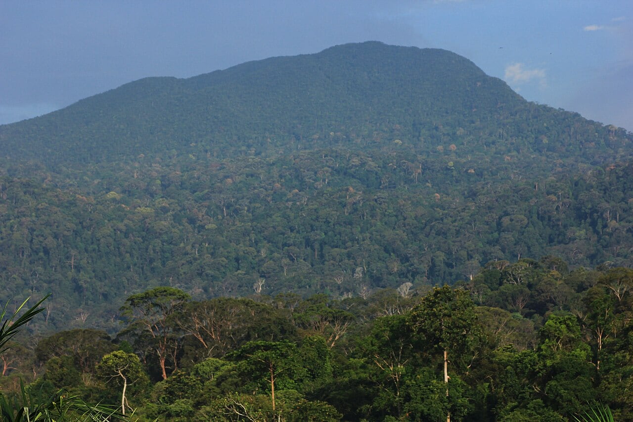 Gambar Taman Eko Rimba Gunung Belumut