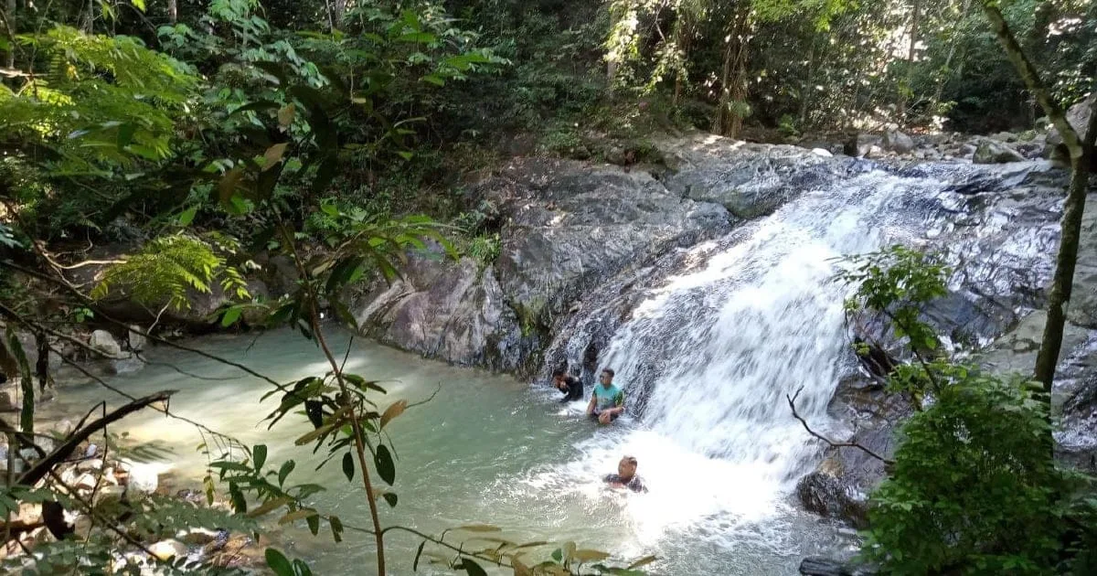 Taman Eko Rimba Gunung Belumut — foto sebenar 1
