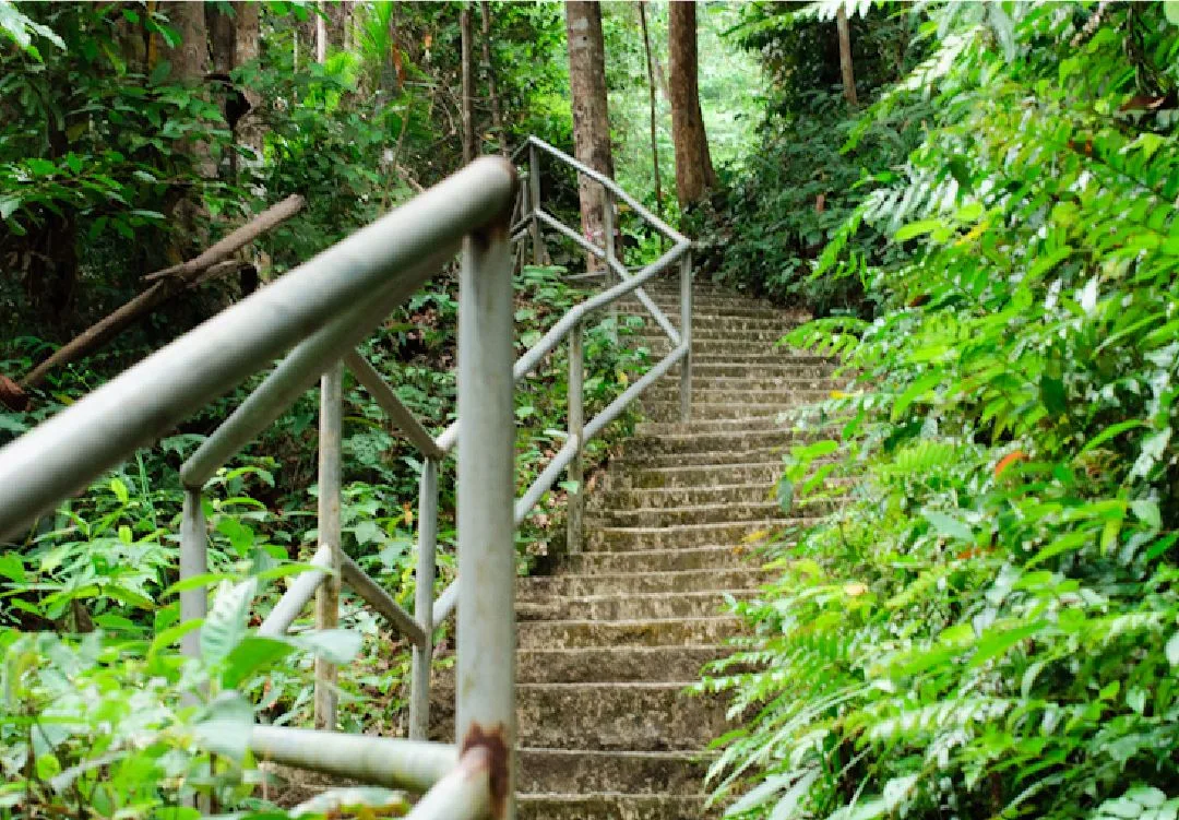 Taman Eko Rimba Gunung Belumut — foto sebenar 2
