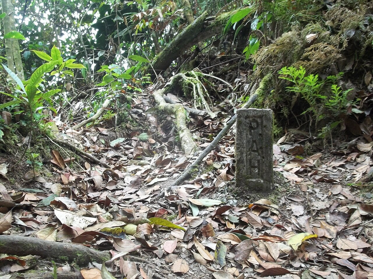 Gambar 2 Taman Eko Rimba Gunung Nuang