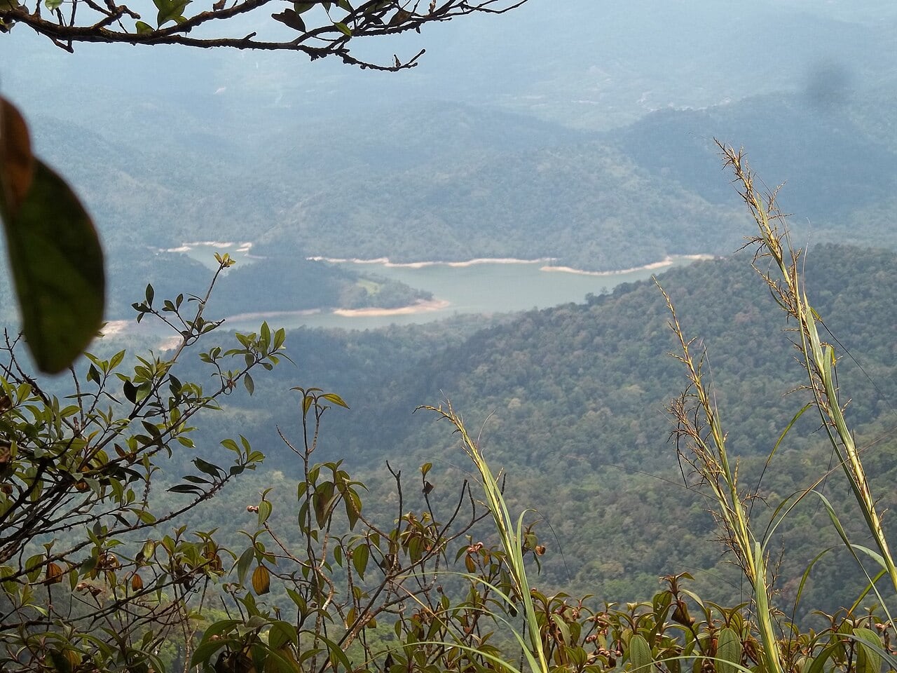 Gambar 3 Taman Eko Rimba Gunung Nuang