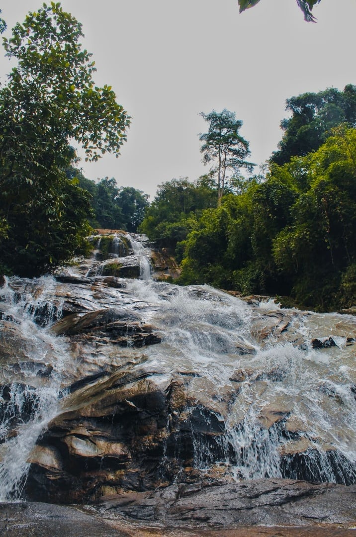 Gambar Taman Eko Rimba Lata Kinjang
