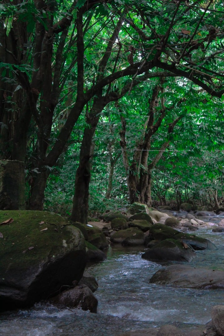 Gambar 2 Taman Eko Rimba Lata Kinjang