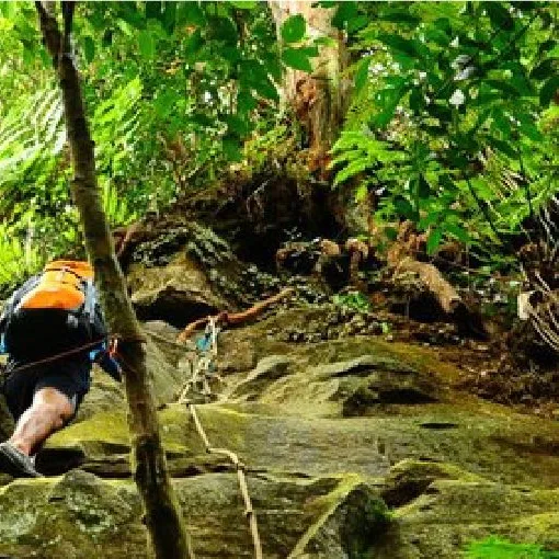 Gambar Taman Eko Rimba Panti