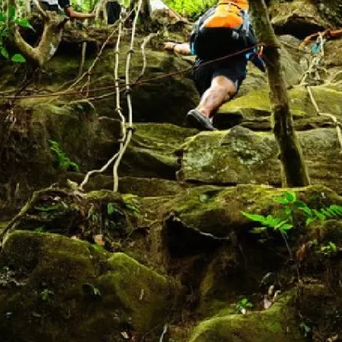 Taman Eko Rimba Panti — foto sebenar 3 (crop)