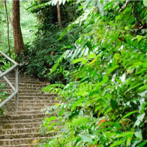 Gambar Taman Eko Rimba Soga Perdana