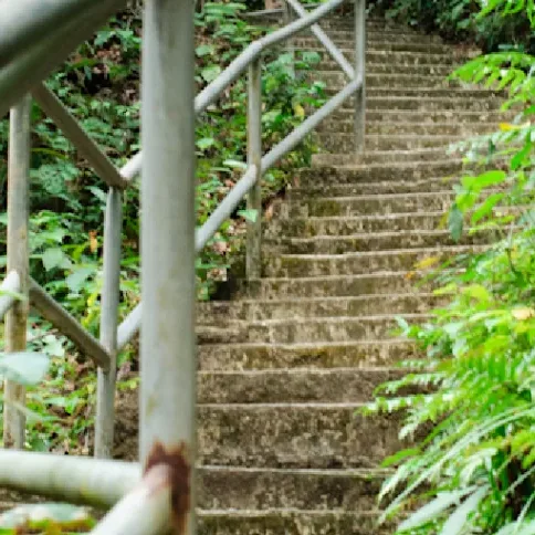 Taman Eko Rimba Soga Perdana — foto sebenar 3 (crop)