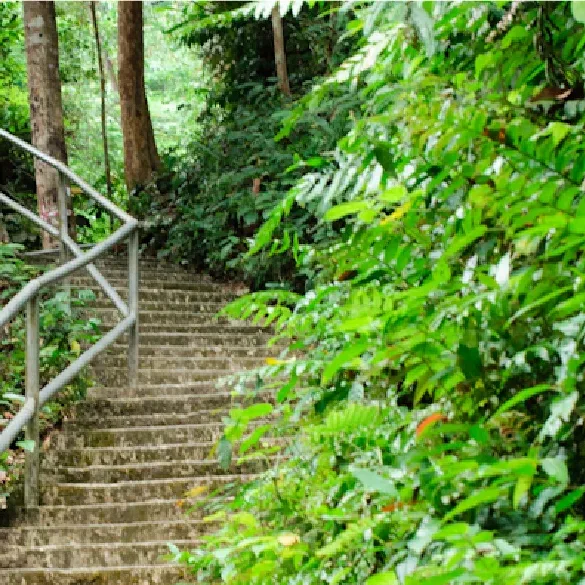 Taman Eko Rimba Soga Perdana — foto sebenar 4 (crop)