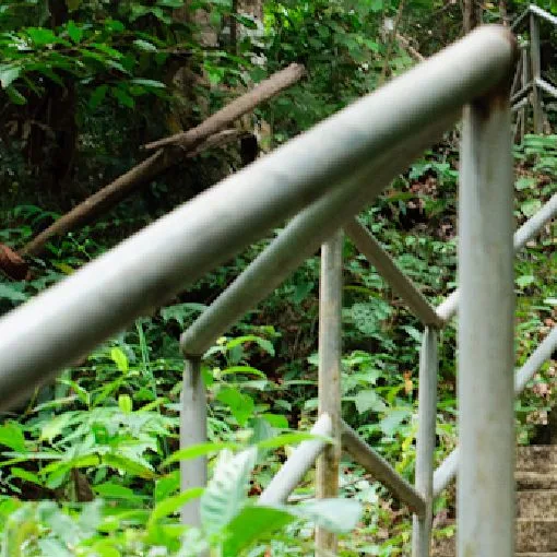 Taman Eko Rimba Soga Perdana — foto sebenar 5 (crop)