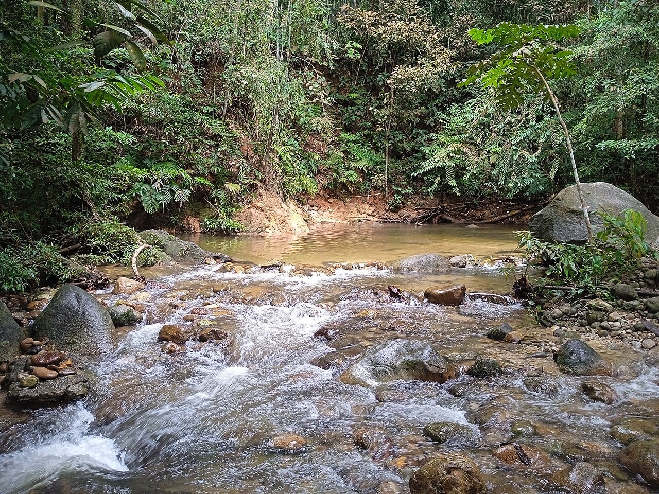 Gambar 2 Taman Eko Rimba Sungai Sendat