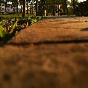 Taman Setia Indah — foto sebenar 5 (crop)