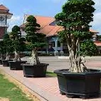 Taman Tasik MP Kluang — foto sebenar 5 (crop)