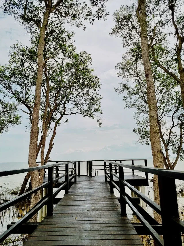Tanjung Ketapang — foto sebenar 5