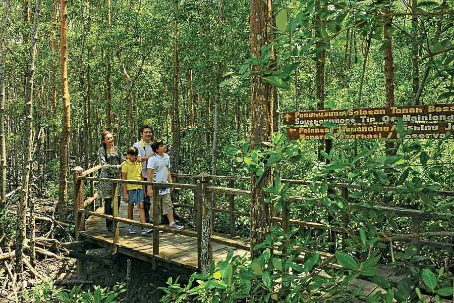 Tanjung Piai National Park — foto sebenar 3
