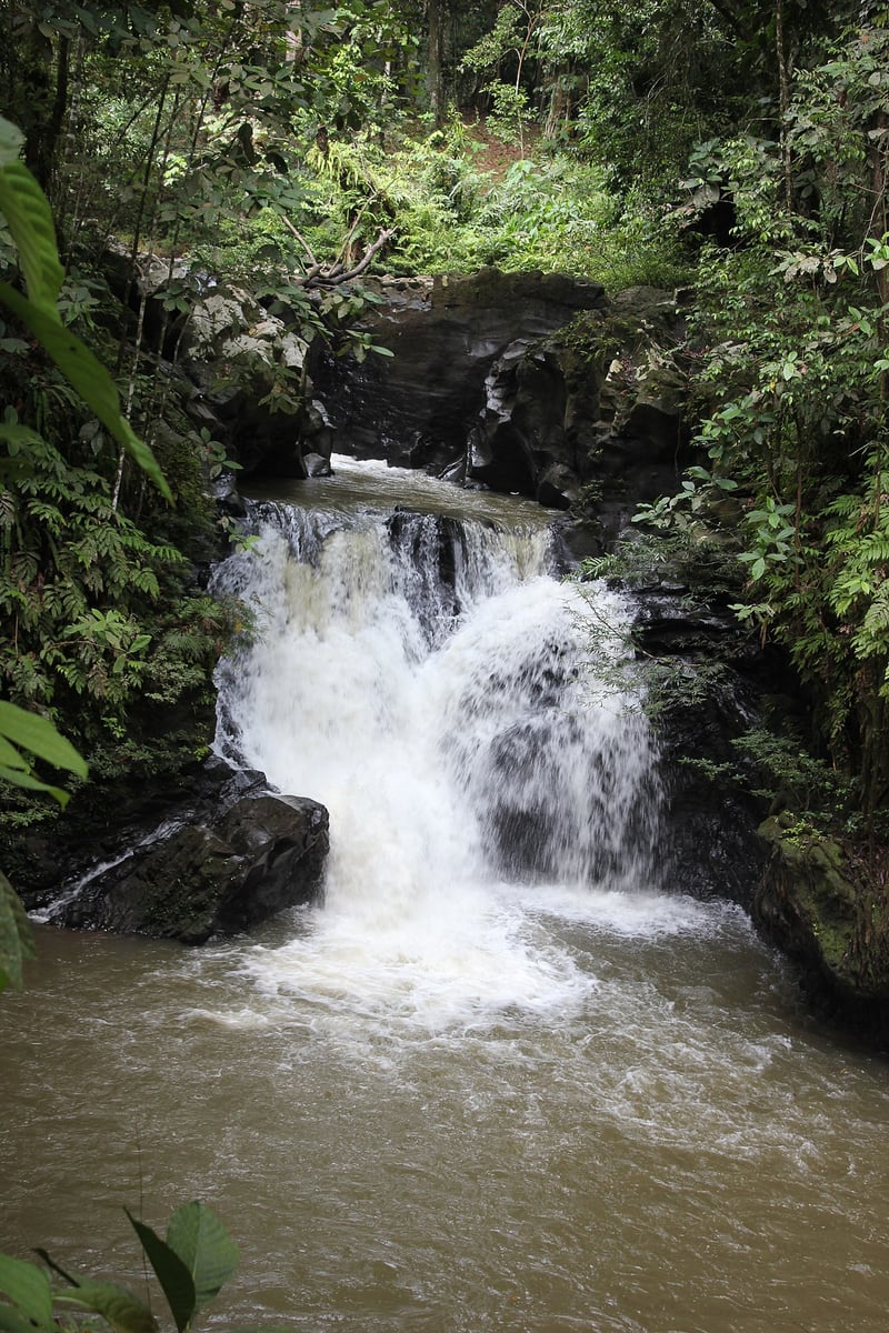 Gambar 3 Tawau Hills Park