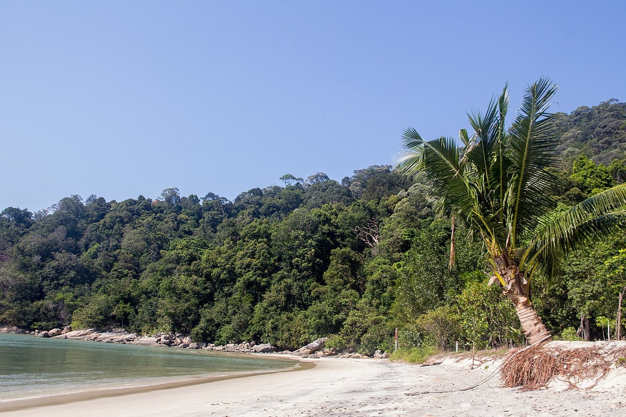 Gambar Teluk Kampi, Penang National Park