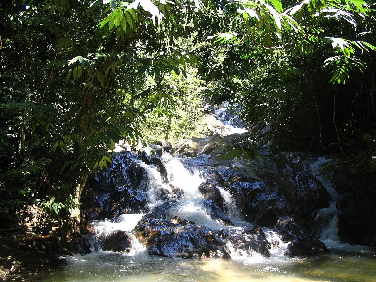 Gambar 2 Templer Park Rawang