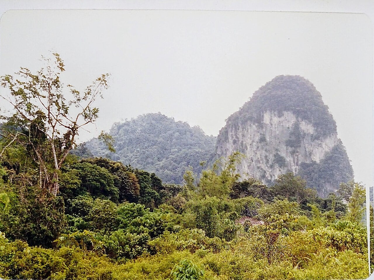 Gambar 3 Templer Park Rawang